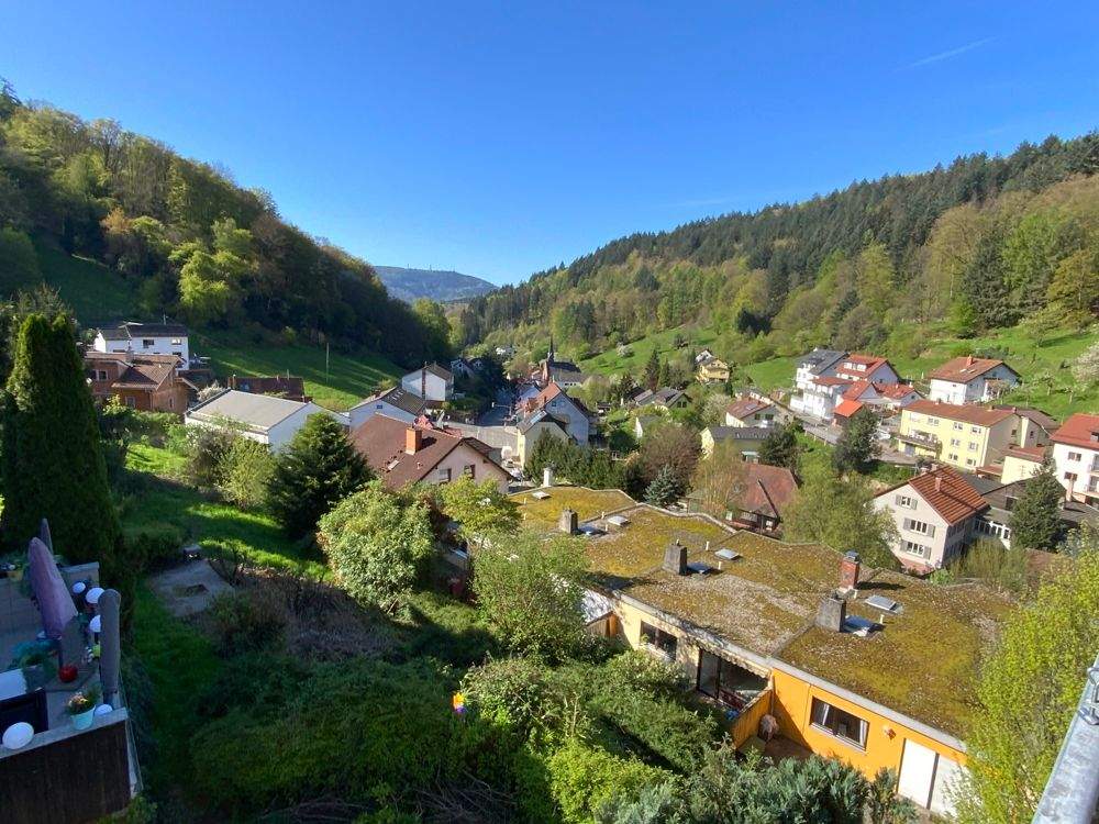 GLOBAL INVEST SINSHEIM | Erstbezug nach umfassender Sanierung - 2,5-Zimmer-Wohnung in Ziegelhausen – Heidelberg – Vorschaubild 6