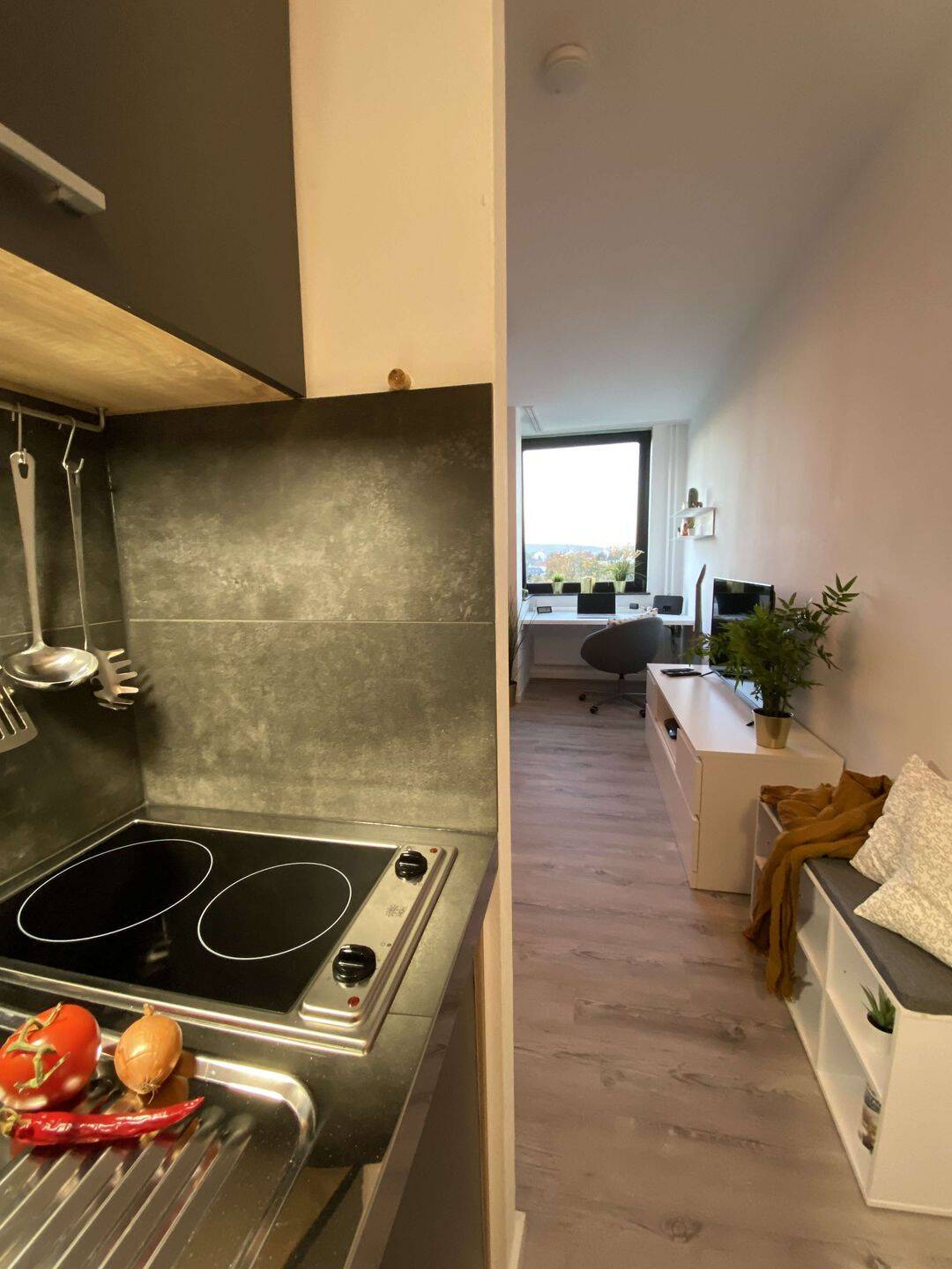 Voll ausgestattete 1-Zimmer-Wohnung in Mainz – Mainz – Vorschaubild 4