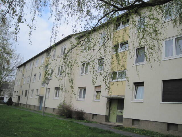 Mitten drin statt nur dabei: 3-Zimmer-Wohnung – Kassel – Bild 1 von 9