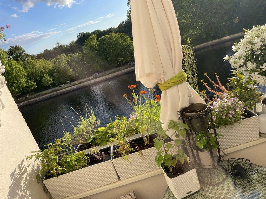 Gelegenheit: Stilvolles Schmuckkästchen in Bestlage von Berlin-Charlottenburg - Blick auf die Spree und das Schloss C... – Berlin – Vorschaubild 2