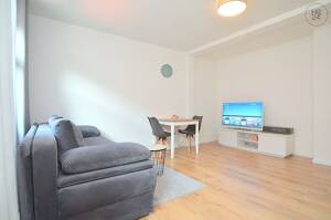 Modern möbliertes 1,5-Zimmer-Apartment mit WLAN in der Fürther Innenstadt – 90762 Fürth – Vorschaubild 7