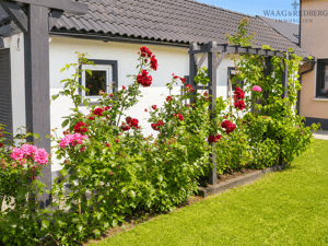 Idyllische Lage am Stadtrand von München – 80995 München – Vorschaubild 2