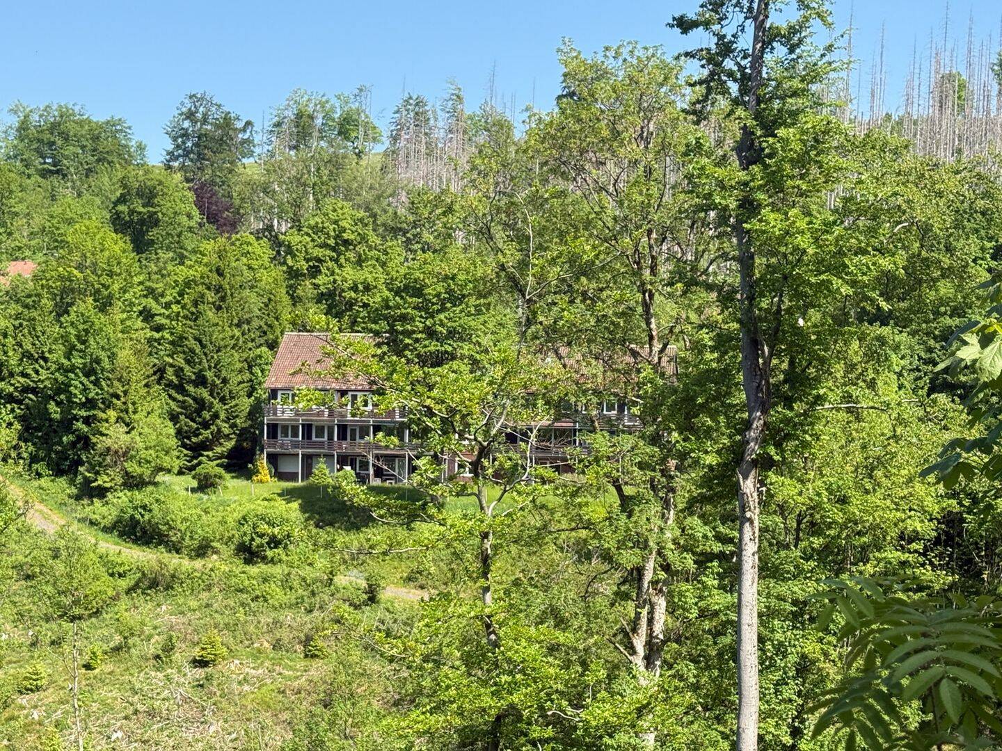 Gepflegte 3-Zimmer-Wohnung (Wohnfläche ca. 66 m²) , Balkon mit traumhaftem Ausblick – Braunlage – Vorschaubild 2