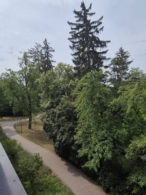 2 Zimmerwohnung in grüner Innenstadtlage – 91052 Erlangen – Vorschaubild 5