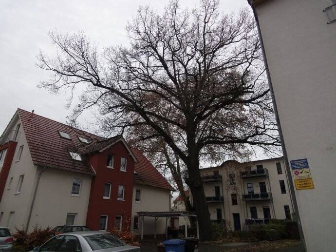 Wohnen auf der Insel Magdeburg Werder