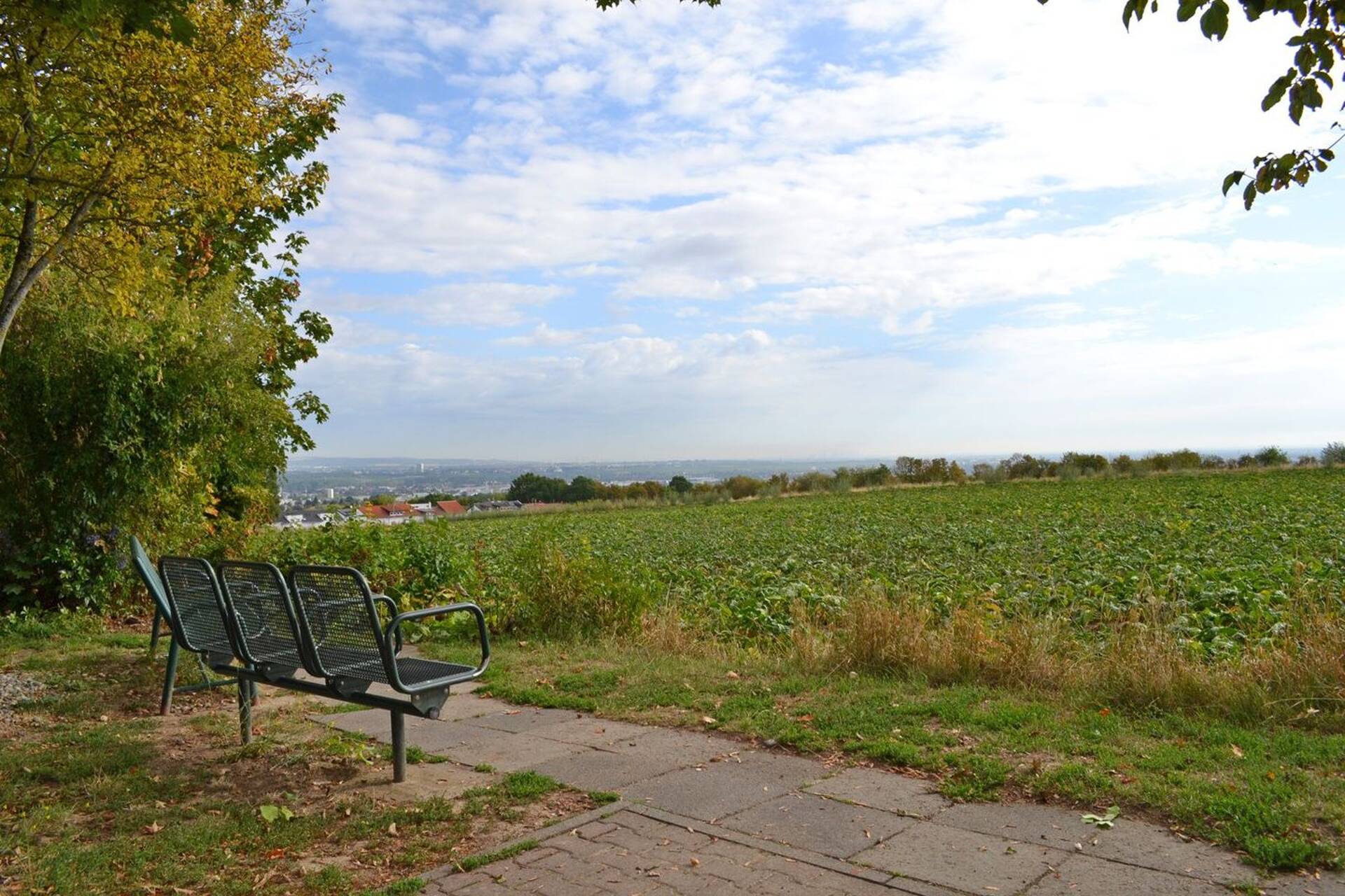 Etagenwohnung in 55129 Mainz mit 53 m² kaufen