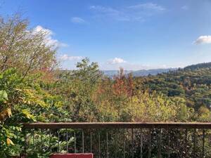 Einfamilienhaus / Villa in Bestlage Steinbachtal 97082 Würzburg – 97082 Würzburg – Vorschaubild 3