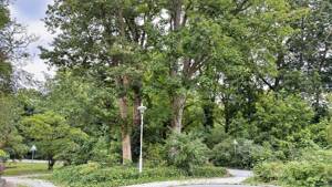 Ihre neue Wohnung in Steglitz, direkt am Park: stabile Erträge – 12167 Berlin – Vorschaubild 6
