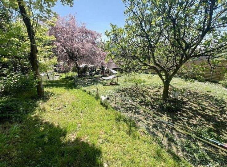 Ihr neues Zuhause: 3 Familien Wohnhaus mit Garten, Terrasse und vielseitigen Nutzungsmöglichkeiten – Kippenheim – Vorschaubild 8
