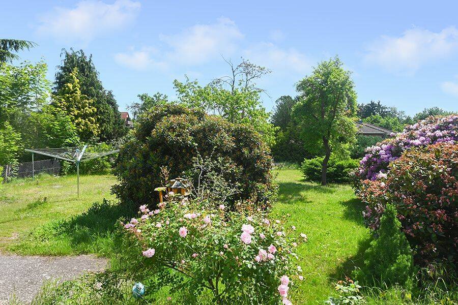 Lachendorf: Idyllisches Einfamilienhaus mit Wintergarten und großem Garten! – Lachendorf – Vorschaubild 8