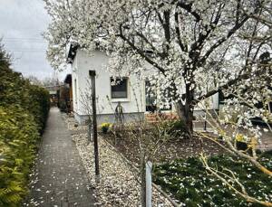Geräumige Bungalows mit modernen Annehmlichkeiten in Magdeburg – 39122 Magdeburg – Vorschaubild 2