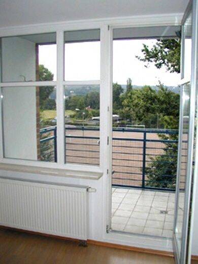 Lichtdurchflutete 3 Zimmer Wohnung mit 2 Balkonen fast an der Elbe (Kopie) (Kopie) – Dresden – Vorschaubild 9