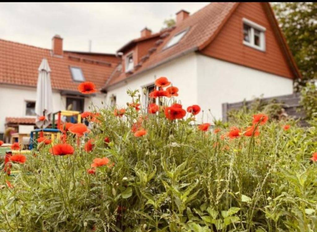 Schönes, helles Einfamilienhaus mit Garten in zentraler Lage für eine kleine Familie