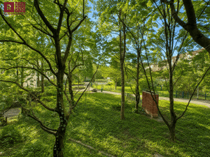 Altbaucharme & Grünblick - vermietete 2-Zimmer-Wohnung mit Balkon in Bockenheim – 60486 Frankfurt am Main – Vorschaubild 2