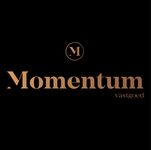 Momentum Vastgoed logo