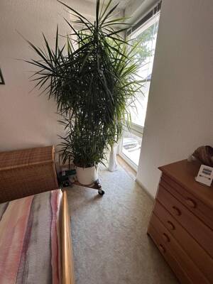 Zwei-Raum-Wohnung im Grünen/citynah (ohne Provision, inkl. Kfz-Stellplatz) – 39112 Magdeburg – Vorschaubild 6