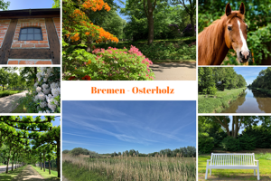 Reihenhaus in Osterholz mit Garage nah zum Hodenberger Deich – 28325 Bremen – Vorschaubild 7