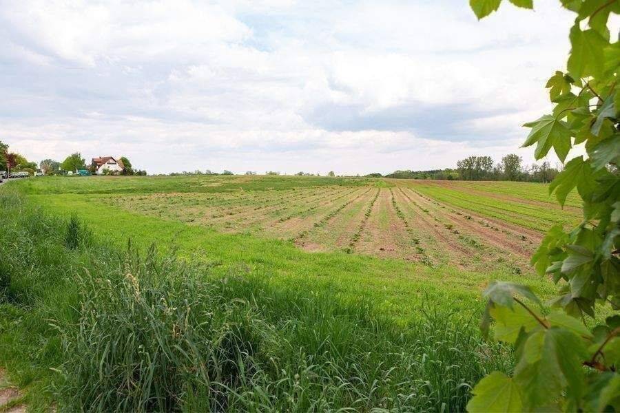 NEU: 1A Lage in Großgründlach mit KfW40 QNG+ & Sonder-AfA – Nürnberg – Vorschaubild 9