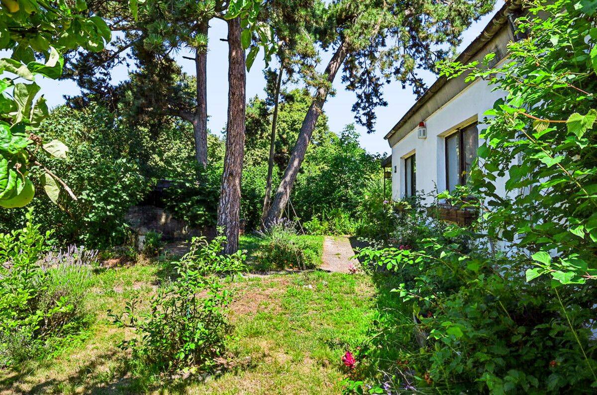 Stadtnah wohnen und individuell gestalten - Sanierungsbedürftiges Einfamilienhaus in Riddagshausen – Braunschweig – Vorschaubild 4