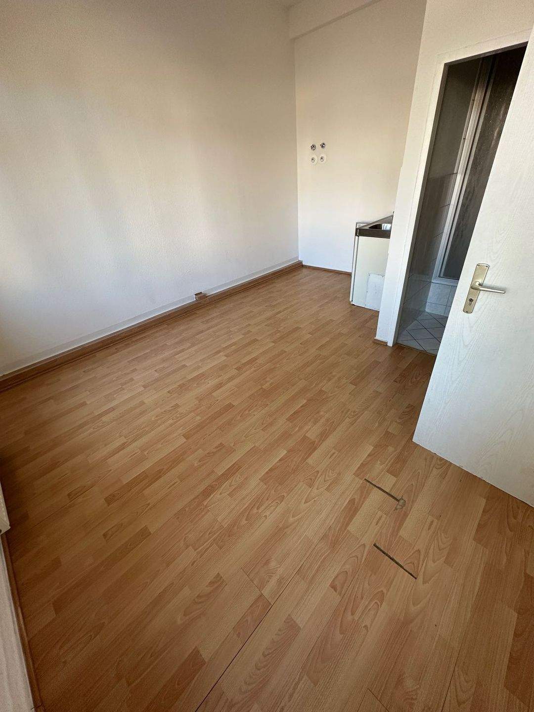 Charmantes 1-Zimmer-Appartement in Chemnitz