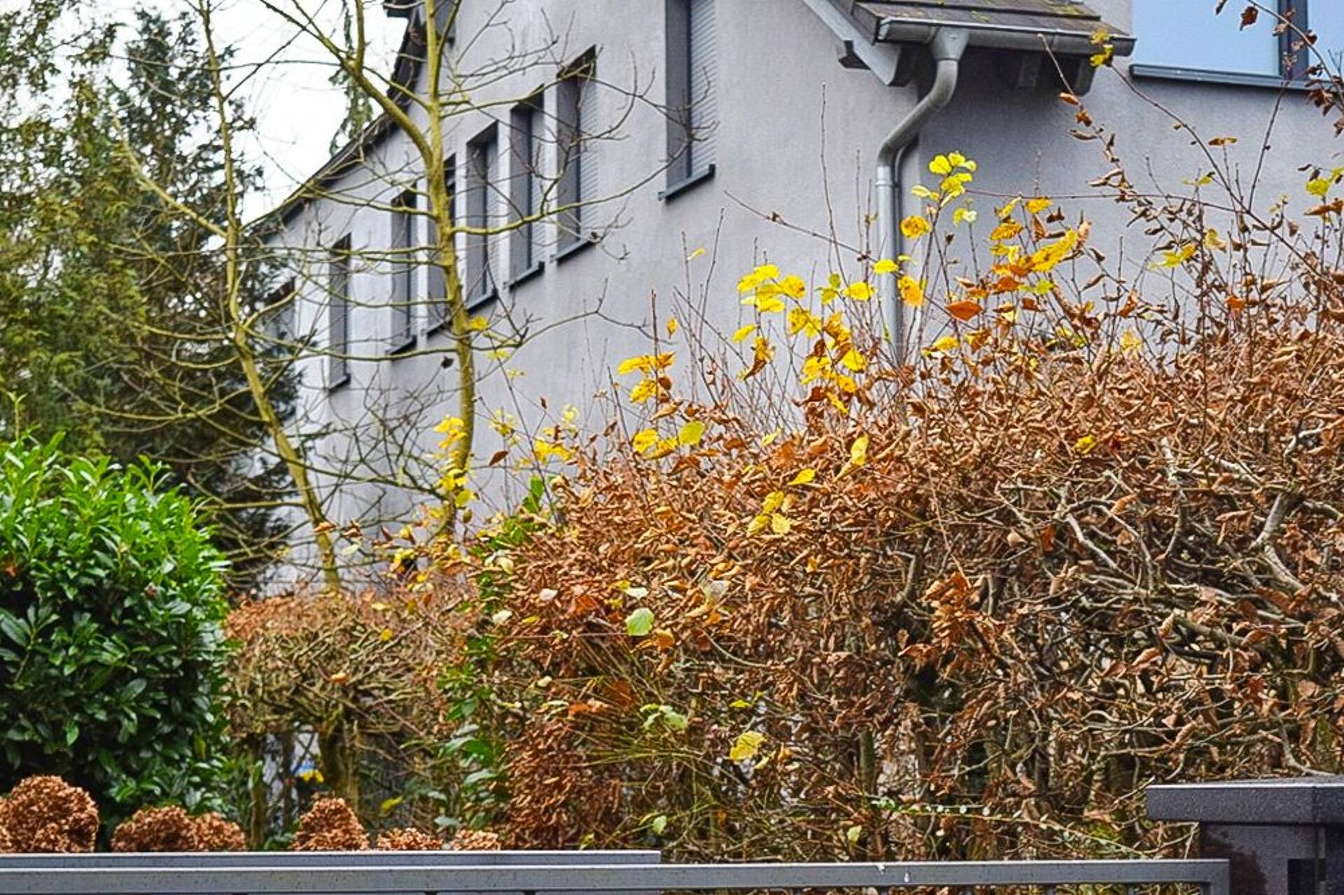 Einfamilienhaus in 63454 Hanau mit 511,63 m² kaufen