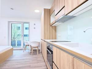 Vollmöbliertes und modernes 1-Zimmer-Appartment mit Balkon