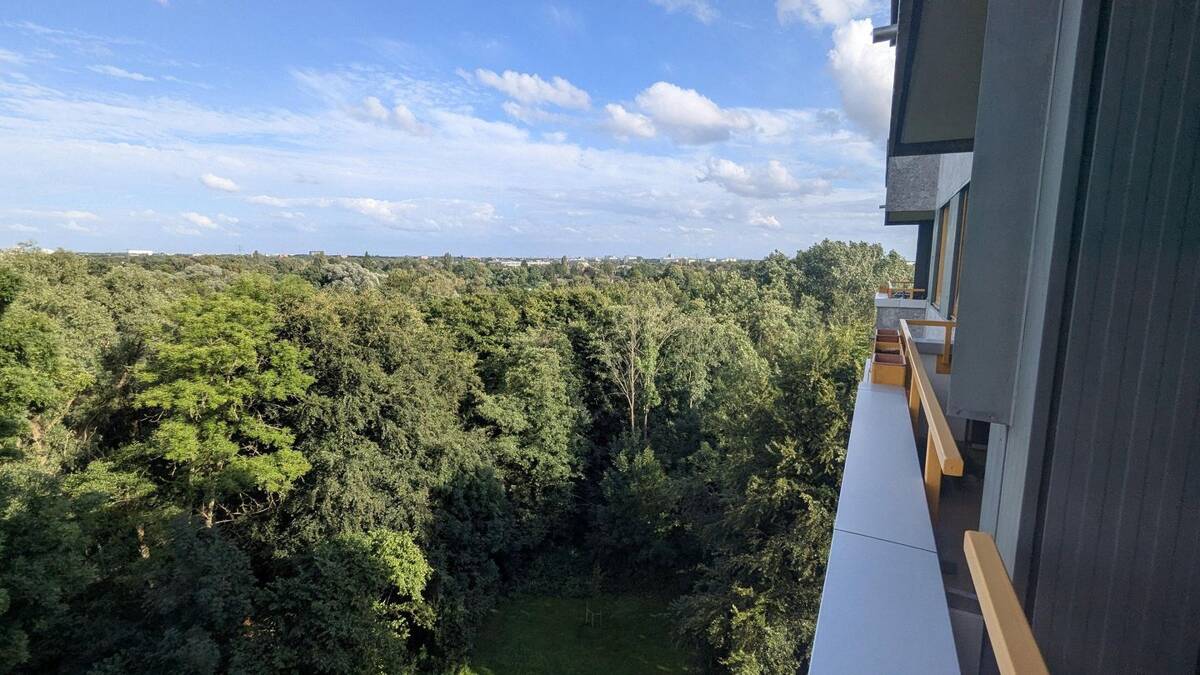 Ruhige 2-Zimmer-Wohnung mit Weitblick ins Grüne - ideal für Singles – 22159 Hamburg – Bild 1 von 9