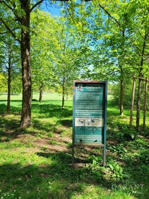 Sonniges und helles 3 Zimmer Juwel direkt am Ostpark - Tiefgaragenstellplatz inklusive - frei ! – 81735 München – Vorschaubild 7