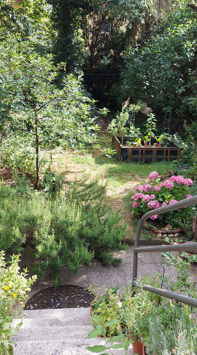 Schöne 2-Zimmer-Wohnung mit Garten in Nürnberg-Nord zu vermieten – Nürnberg – Vorschaubild 8
