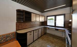 Suche neue Familie! – 51109 Köln – Vorschaubild 4