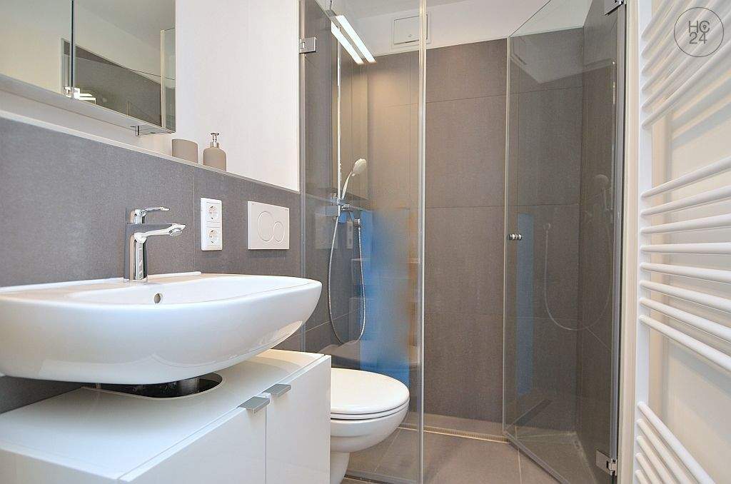 Exklusiv möbliertes 1-Zimmer-Apartment mit WLAN in St.-Johannis – Nürnberg – Vorschaubild 4