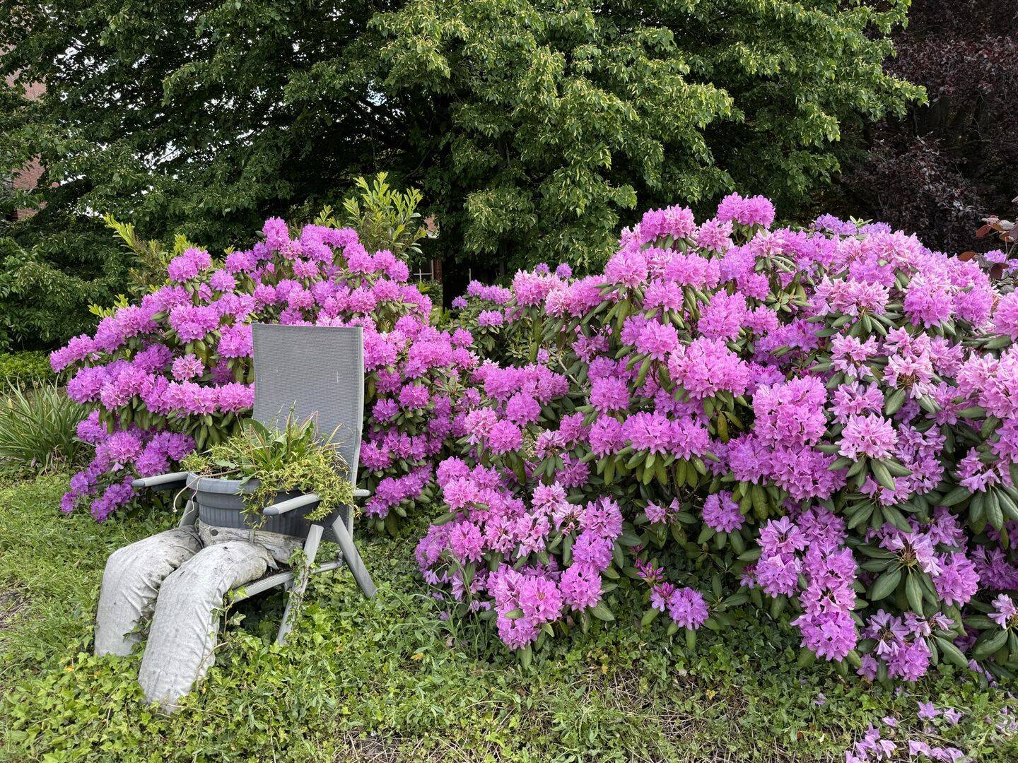 Wohnen im Grünen - Großzügiges Zuhause mit viel Platz für die Familie, Garten und Ideen! – Sulingen – Vorschaubild 4