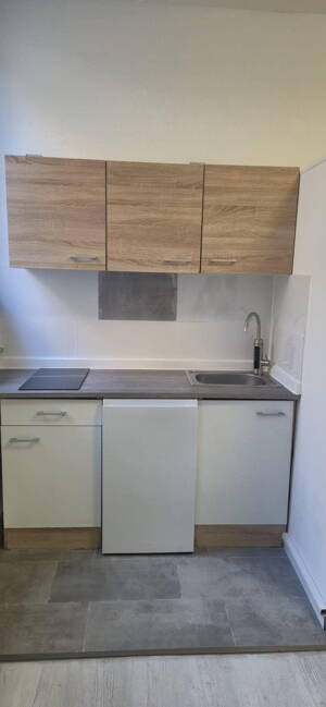 One Room Appartment with Toilette, Shower, Kitchen etc inside