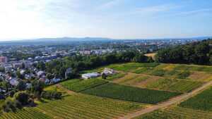Sehr selten! Lage und Design gepaart hochwertiger Ausstattung und mit Traumblick über Freiburg – 79100 Freiburg im Breisgau – Vorschaubild 3