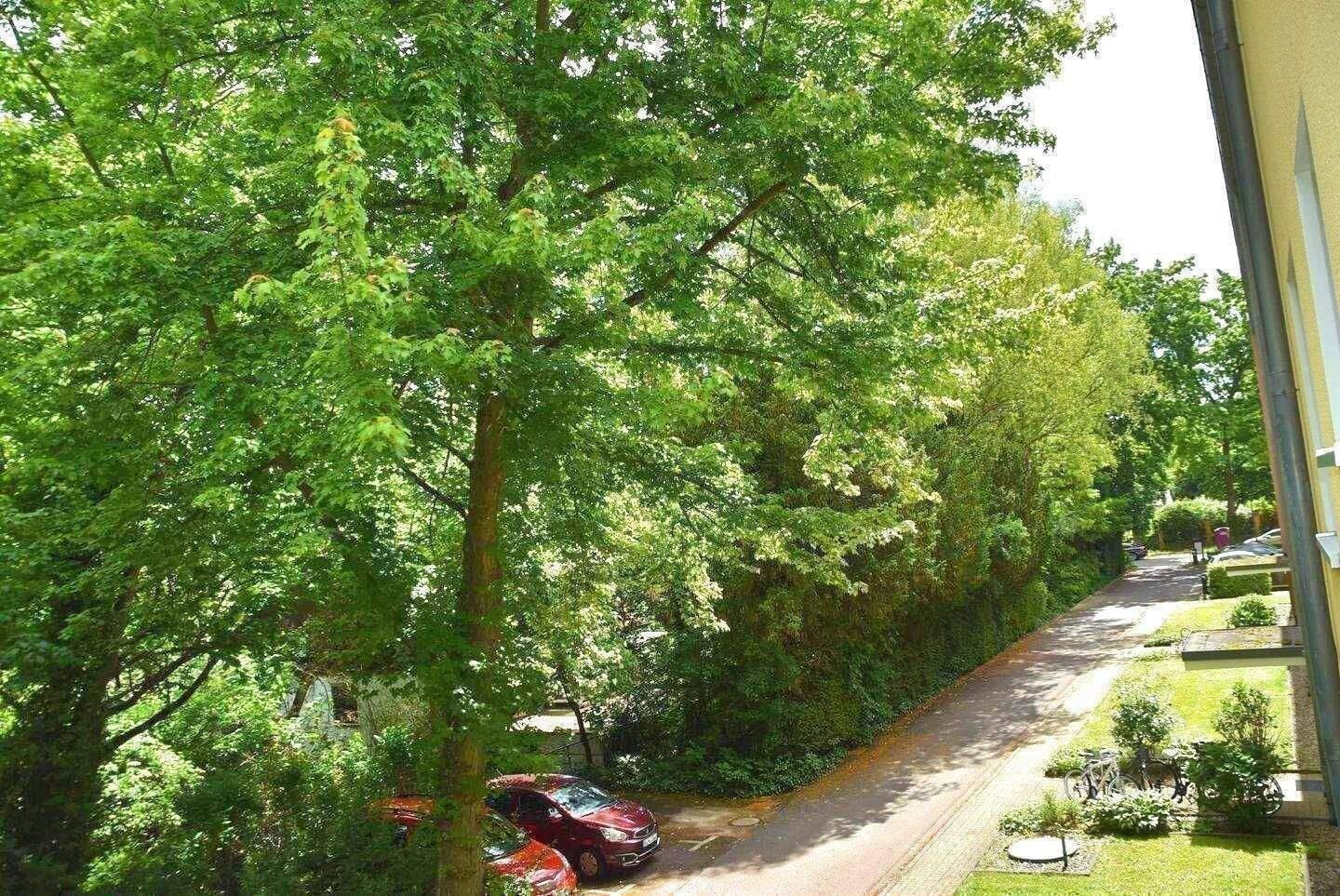 JUWEL : 3 Zi.- ETW mit Loggia, KellerRAUM, Stellplatz & Eigentumsgarage im Komponistenviertel – Berlin – Vorschaubild 7