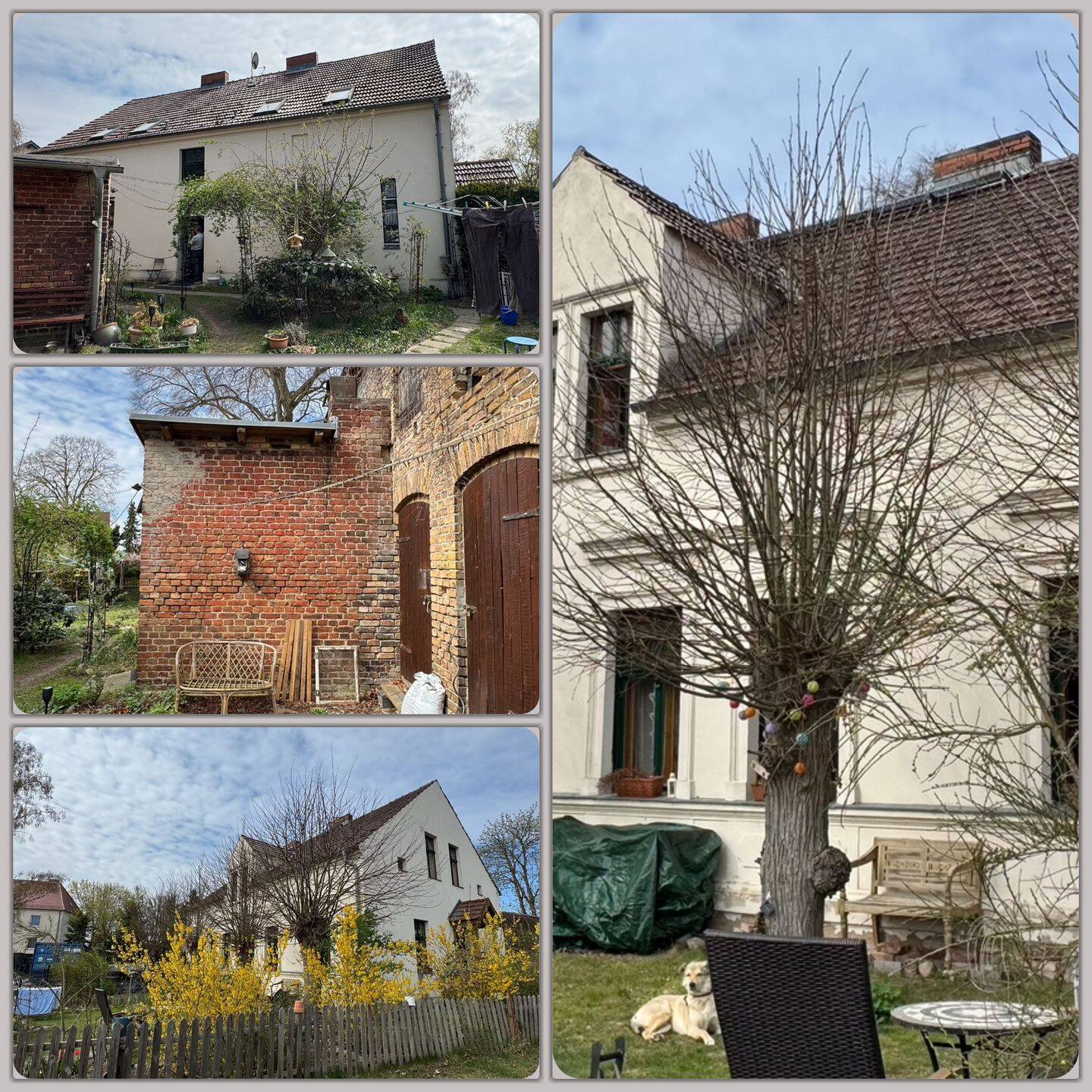 Attraktives Mehrfamilienhaus mit 4 Wohneinheiten – Löwenberger Land – Vorschaubild 5