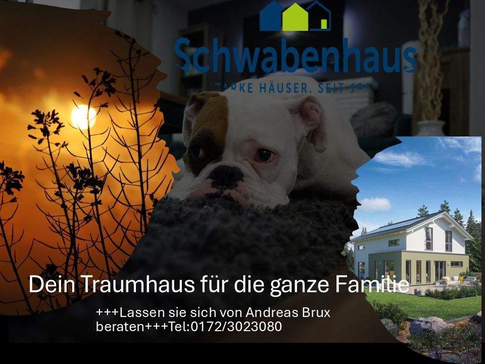 Leben, Lieben, Lachen - Hier! – Berlin – Bild 1 von 7