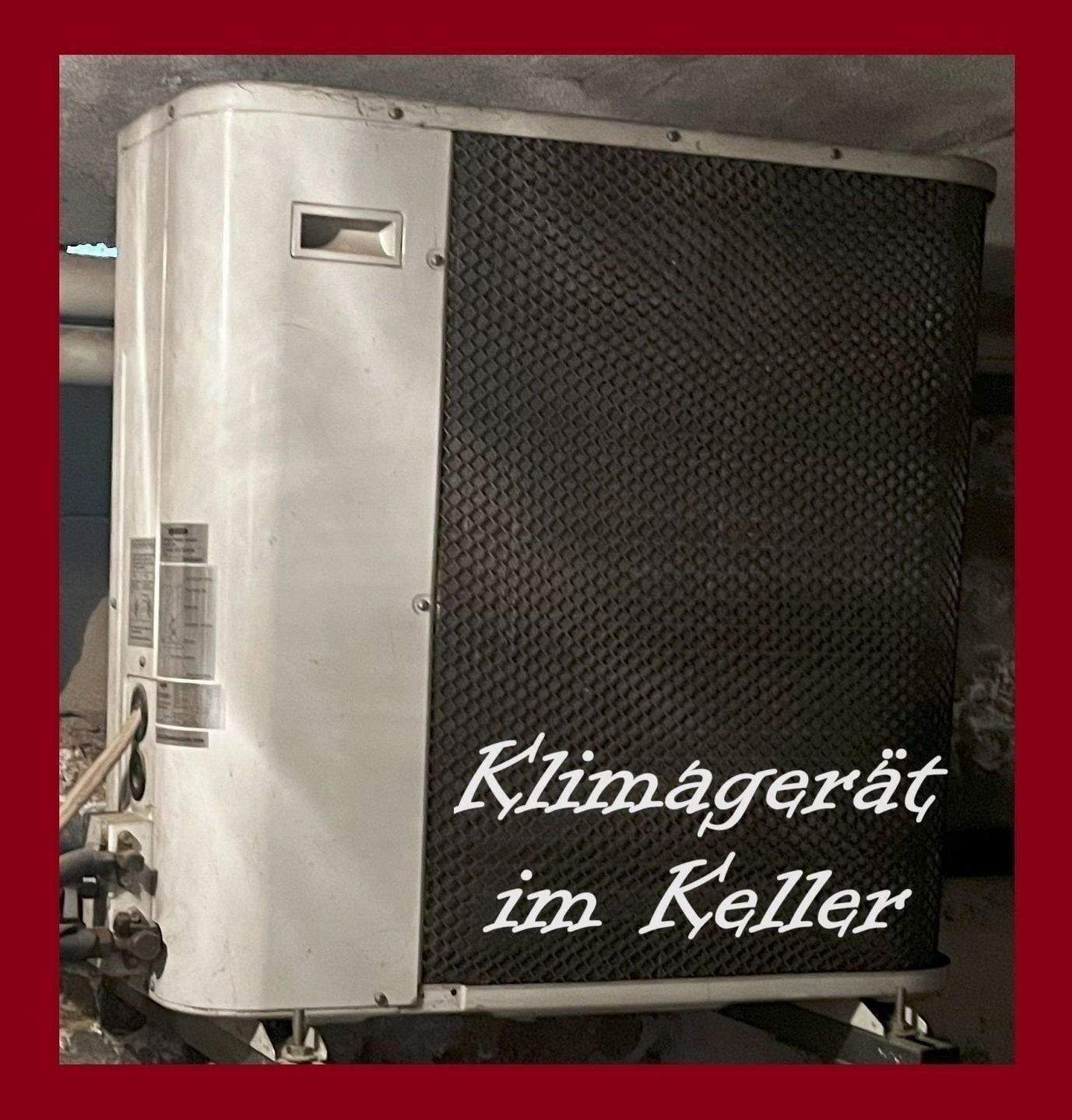 Wohn- und Geschäftshaus (mit Wärmerückgewinnung, Klimaanlage, Kühlzellen, Photovoltaik, Wallbox u.v.m.) – Meerane – Vorschaubild 4