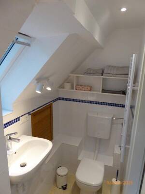 WG Haus 4 Zimmer, Frauen, sehr gute Lage im Grünen und S Bahn, sehr großes Grundstück – 12587 Berlin – Vorschaubild 8