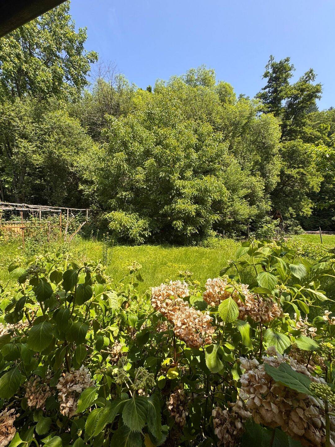 Schöne, helle 2-Zimmer-Wohnung im idyllischen Albtal – teilmöbliert mit Parkplatz und guter Anbi