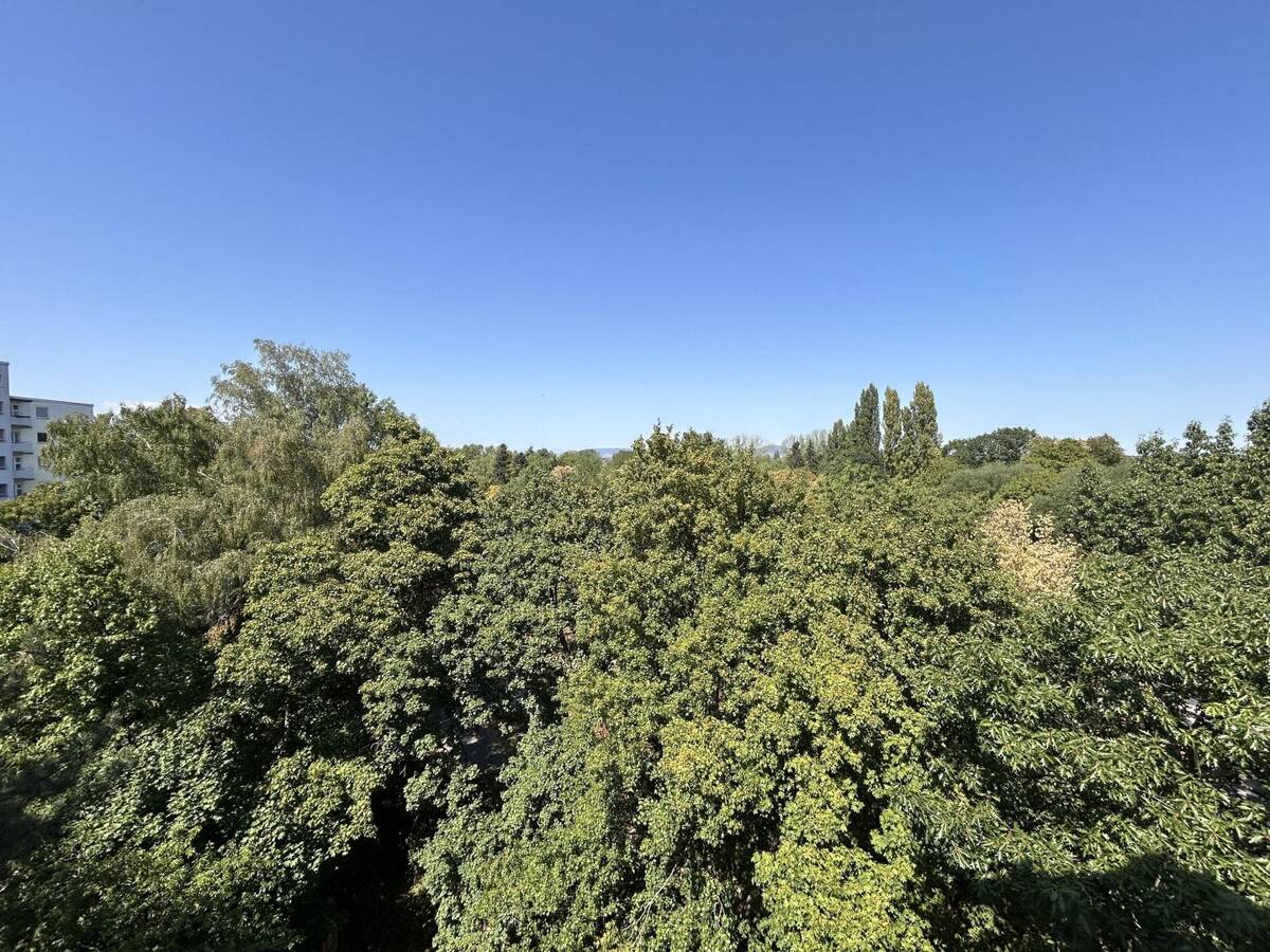 Charmante Wohnung mit tollem Ausblick – 79115 Freiburg im Breisgau – Bild 1 von 9