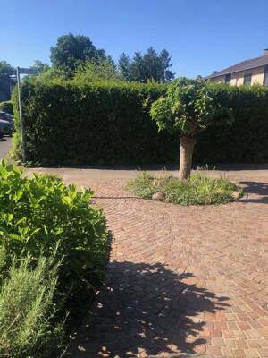 PROVISIONSFREI! Außergewöhnlich gepflegtes Reihenhaus,schöne Sonnenterrasse,Garten,Garage – 51377 Leverkusen – Vorschaubild 3
