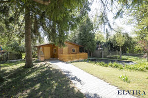 ELVIRA - Bogenhausen, einzigartiges Anwesen vereint barrierefreies Wohnen mit Aufzug, großzügigen Garten und vielseitige Nutzungsmöglichkeiten – 81929 München – Vorschaubild 5
