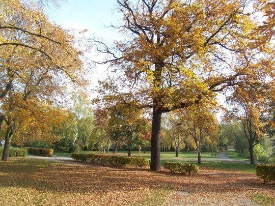 ERSTKLASSIGE 3-ZIMMER WOHNUNIN BEGEHRTER LAGE BERLIN_SCHÖNEBERG – Berlin – Vorschaubild 2