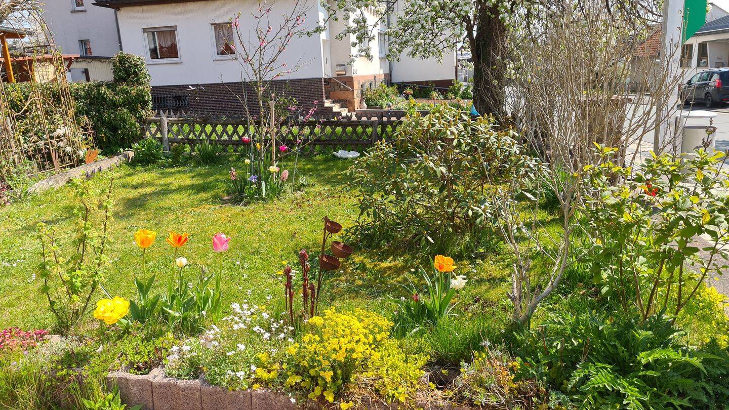 Viel Platz für Ihre Träume: Großzügiges Familienhaus in Frankenberg-Haubern – Frankenberg – Vorschaubild 6