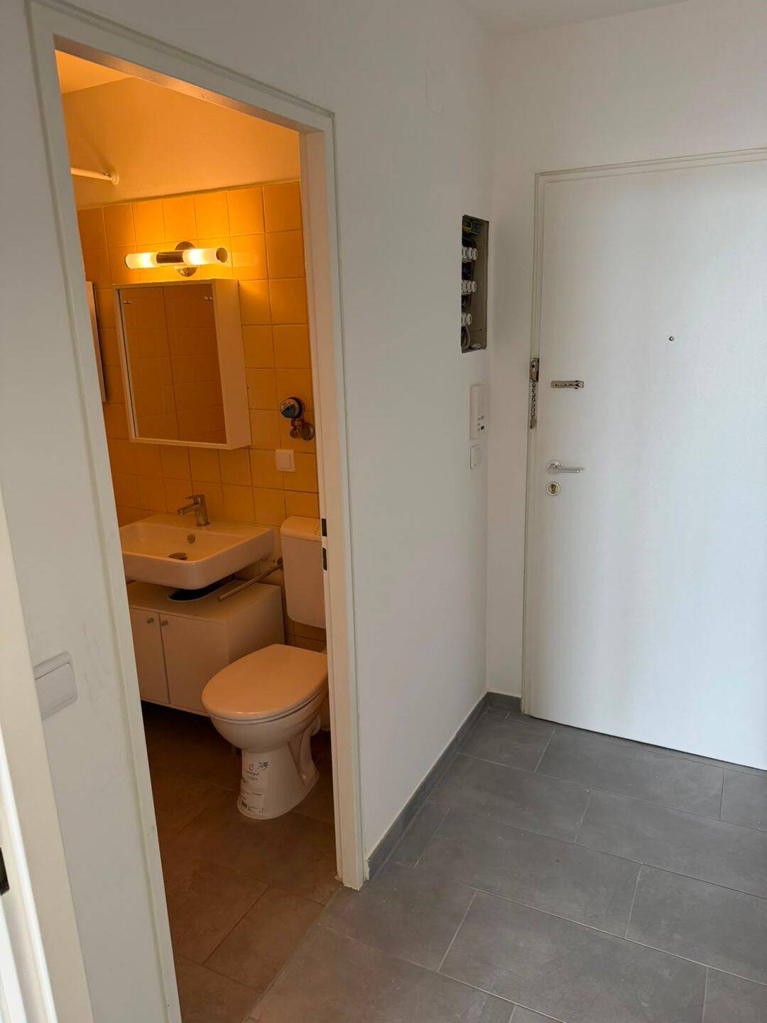 Modern renoviertes 1-Zimmer-Apartment mit Einbauküche, Balkon und toller Aussicht – Nürnberg – Vorschaubild 5