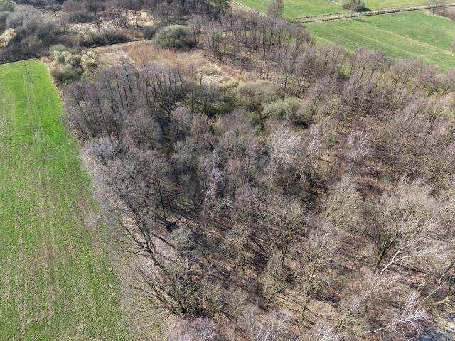 1,03 ha Grundstücksverkauf in Bramsche, OT Schleptrup – Bramsche – Bild 1 von 4