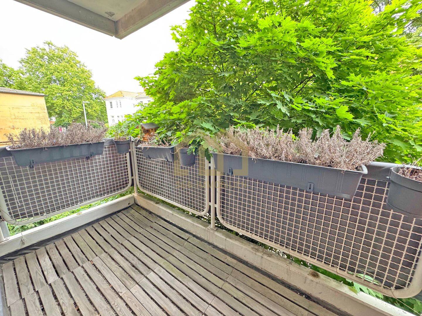 Top-Lage in Schwachhausen - Helle Erbpachtwohnung mit Balkon & Aufzug | Erbbauzins 450,58 € mtl. – Bremen – Vorschaubild 5