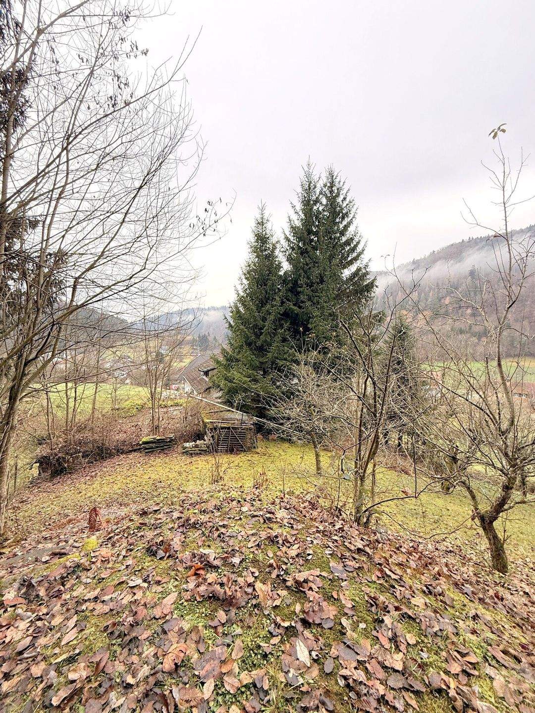 Zweifamilienhaus in ruhiger Lage mit Bergblick und Sonnenterrasse – Kleines Wiesental – Vorschaubild 3
