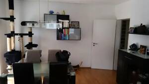 Wohnung Hochpaterre – 54294 Trier – Vorschaubild 4